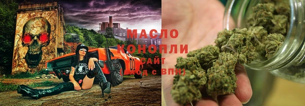 mix Богородицк